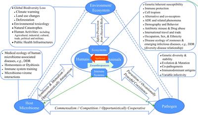 Ecology of Human Medical Enterprises: From Disease Ecology of Zoonoses, Cancer Ecology Through to Medical Ecology of Human Microbiomes